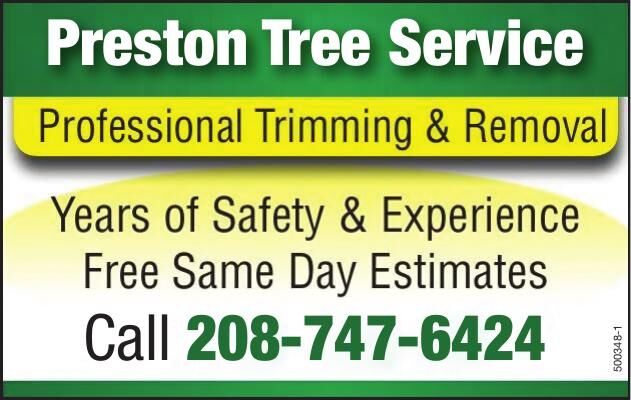 8165_Preston Tree Removal Business Directory